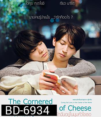 The Cornered Mouse Dreams of Cheese (2020) ให้รักฉันอยู่ในมุมหัวใจเธอ