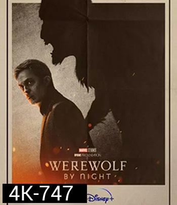 4K - Werewolf by Night (2022) แวร์วูล์ฟ บาย ไนท์ - แผ่นหนัง 4K UHD
