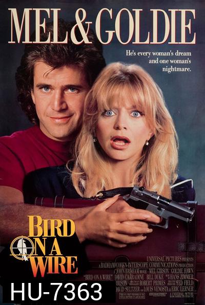 Bird on a Wire (1990) ดับอำมหิต