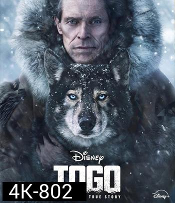 4K - Togo (2019) โตโกหมาป่ายอดนักสู้ - แผ่นหนัง 4K UHD