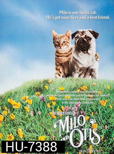 The Adventures of Milo and Otis (1986) แมวจ๋าหมาอยู่นี่