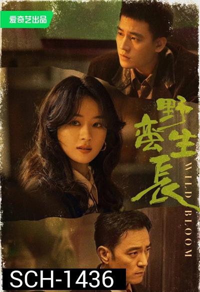 ยอดหญิงแกร่ง Wild Bloom (2022) 36 ตอนจบ