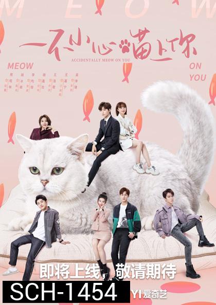 Accidentally Meow On You (2022) เหมียวเหมียวเกี่ยวใจให้เจอรัก (24 ตอนจบ)