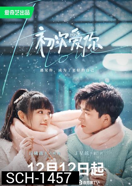 First Love (2022) วุ่นนัก โจทย์รักแรก (24 ตอนจบ)