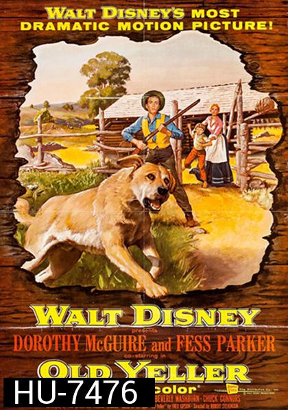 Old Yeller (1957) เพือนแท้คู่ชีวิต,สุนัขล่าคู่ชีวิต