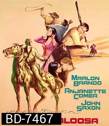 The Appaloosa (1966) เดอะ แอพพะลูซา คาวบอย (ภาพเท่าดีวีดี)