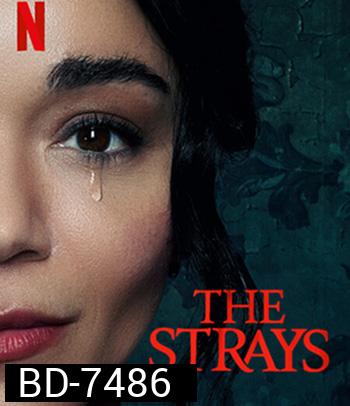 The Strays (2023) คนหลงทาง