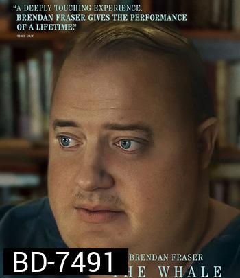 The Whale (2022) เหงา เท่า วาฬ (ภาพ 4:3 )