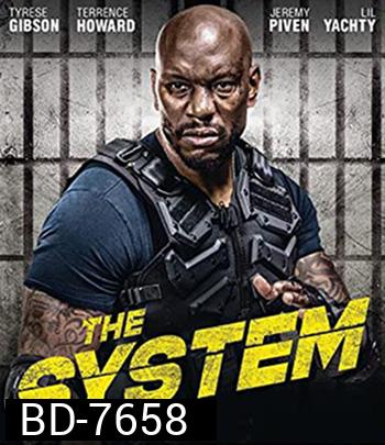 The System (2022)