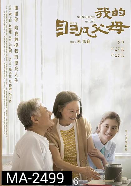Sunshine of My Life (2021)