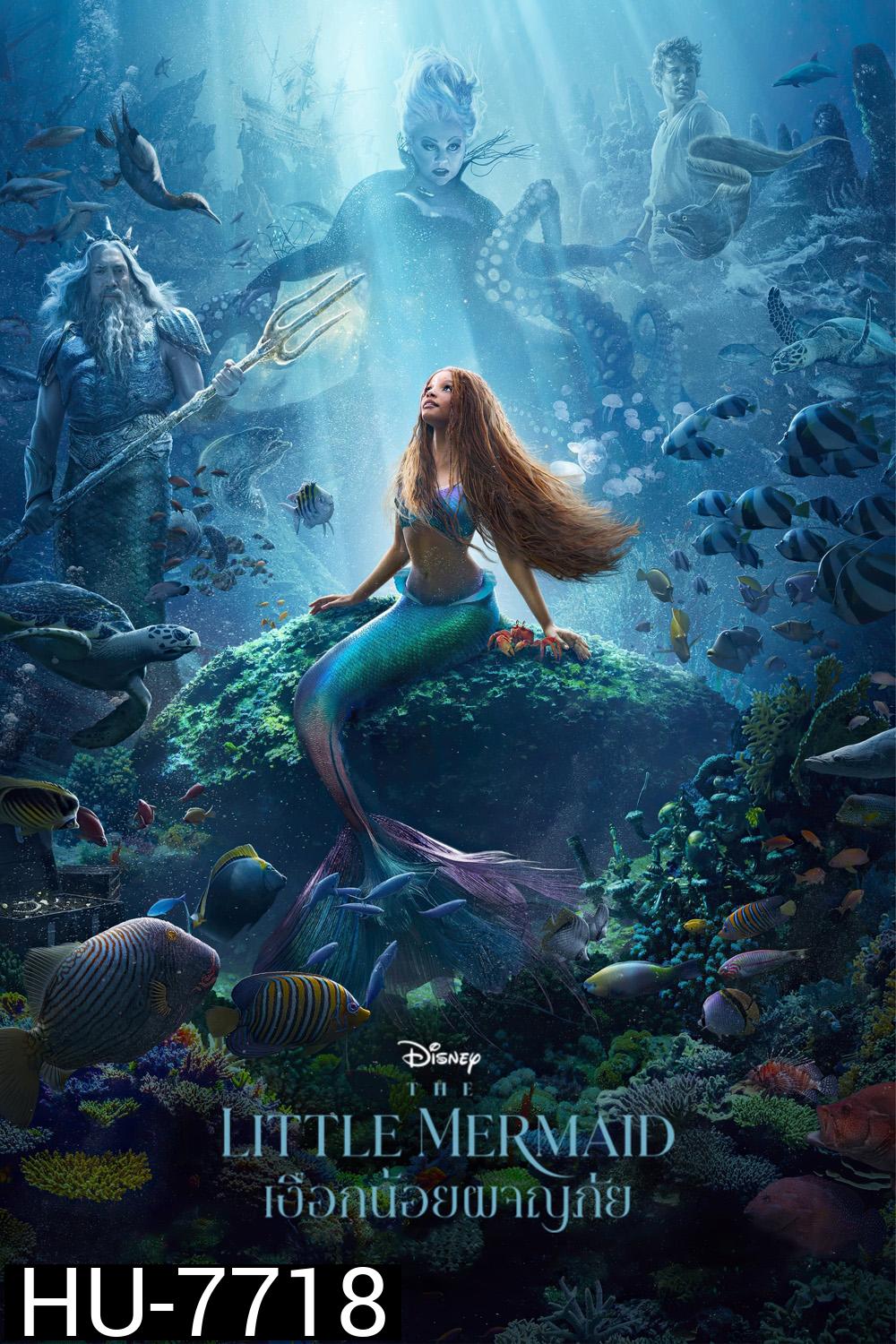 (Zoom ซูม) The Little Mermaid (2023) เงือกน้อยผจญภัย (ดูภาพตัวอย่างด้านใน)