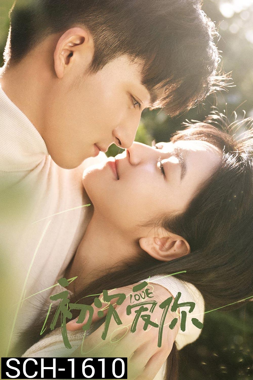 วุ่นนัก โจทย์รักแรก (2022) First Love (24 ตอนจบ)