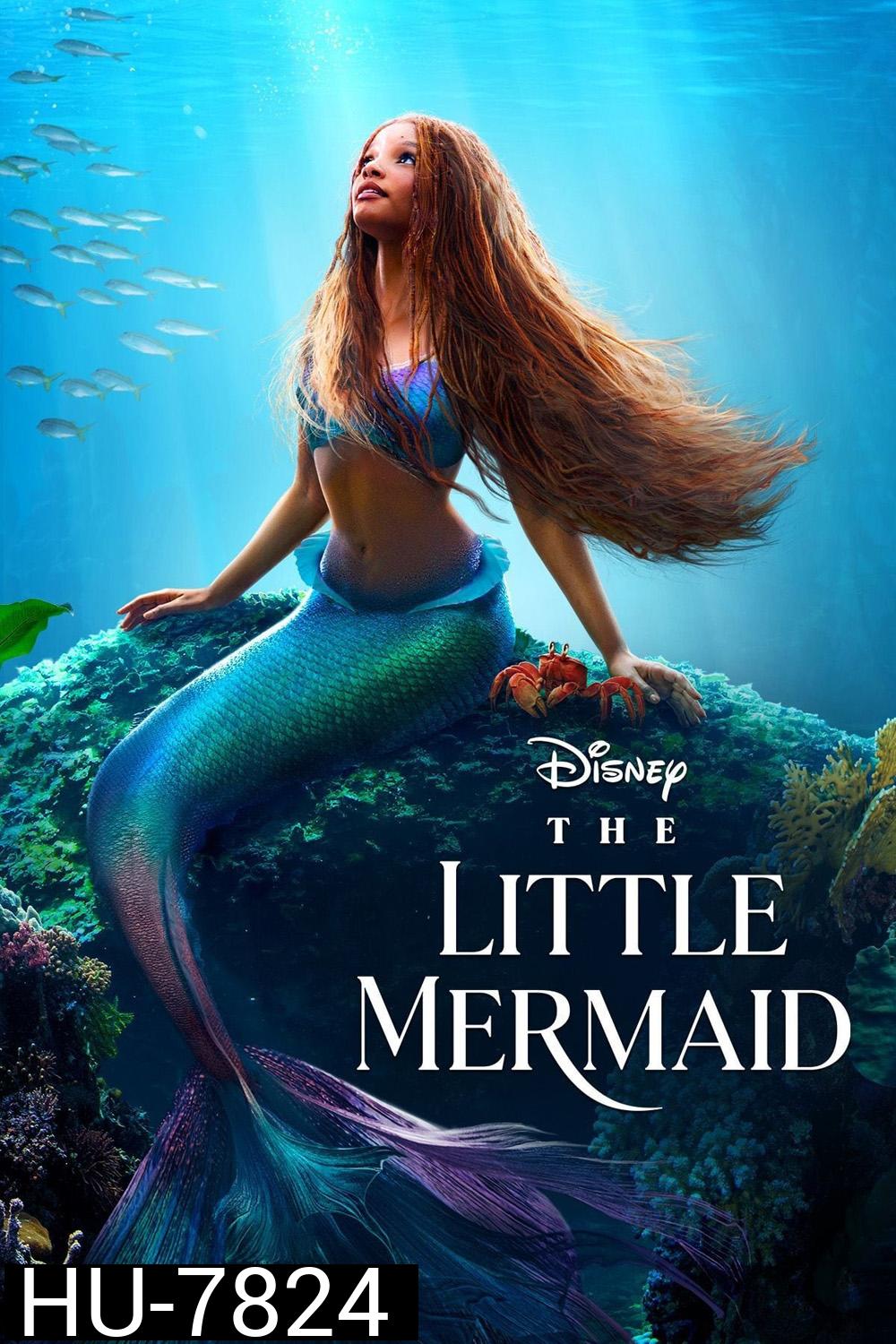 [ชนโรง!..ชัด +  V.2 - ดูรูปตัวอย่างด้านล่าง ] The Little Mermaid (2023) เงือกน้อยผจญภัย