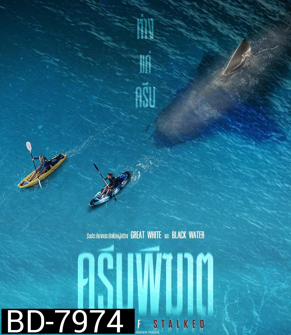 The Reef Stalked (2022) ครีบพิฆาต