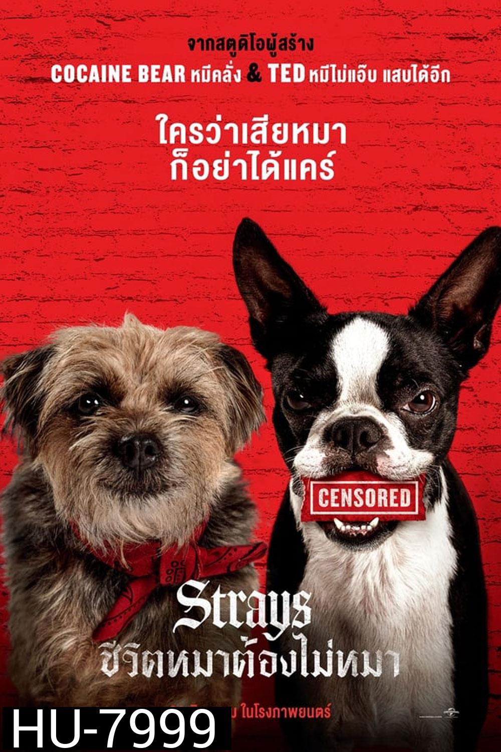 Strays (2023)ชีวิตหมาต้องไม่หมา