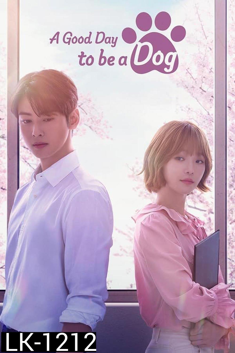 A Good Day To Be A Dog จูบรักปลดล็อก (2023)