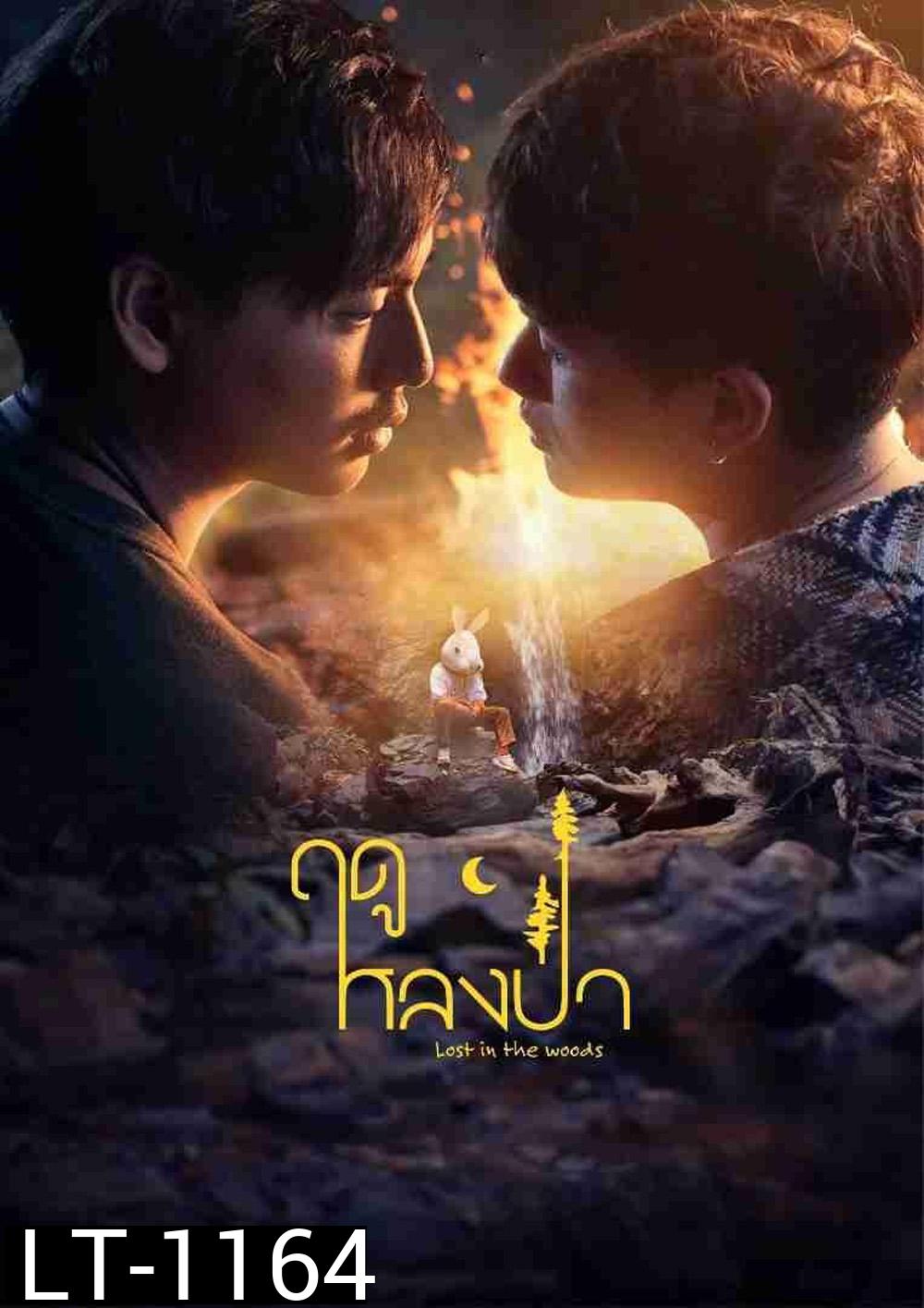 [Y Series] Lost in the Woods ฤดูหลงป่า (2025) EP.01-EP.07 จบ