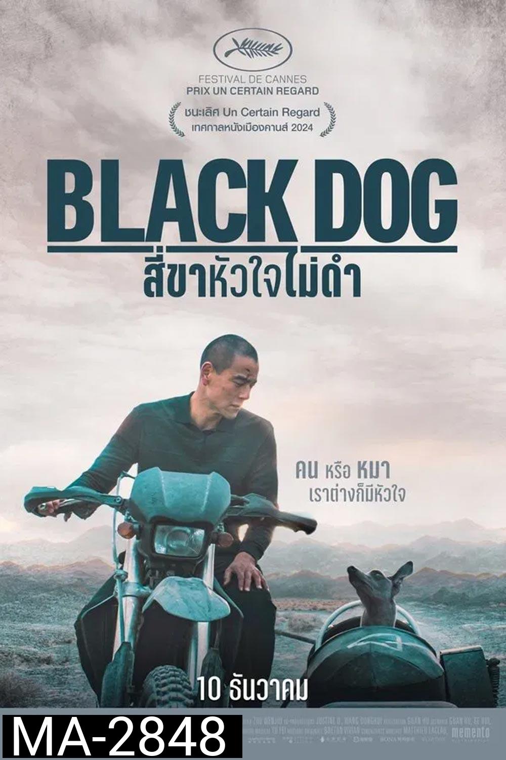 Black Dog สี่ขาหัวใจไม่ดำ (2024)