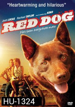 Red Dog เพื่อนซี้หัวใจหยุดโลก